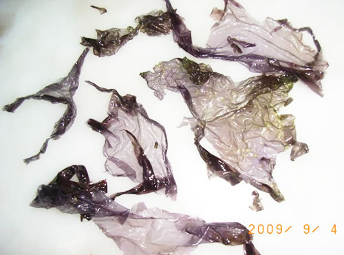 Fake Seaweed from China in Malaysian Market  Seaweed Nutrition Data and  Information Malaysia